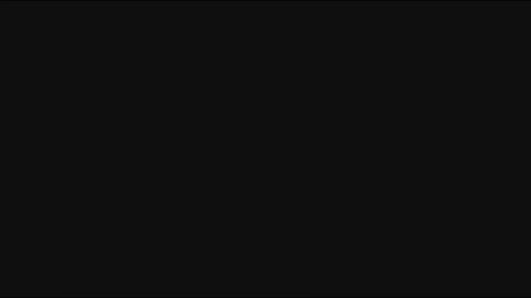 23069